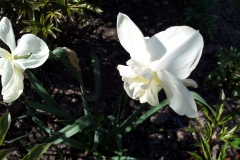 20130508_161739