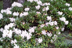 20130513_164735