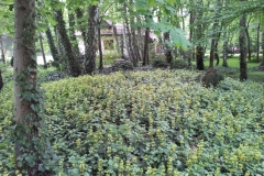 20130513_164930