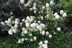 20130513_165436