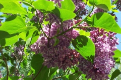 20130517_120452