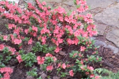 20130521_171120
