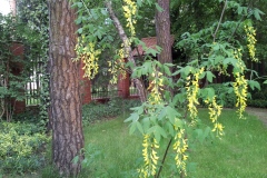 20130521_171713