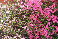 20130521_172100