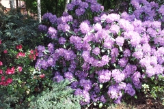 20130522_124504