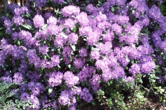 20130522_124536