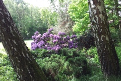 20130522_125336