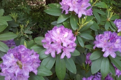20130522_125710